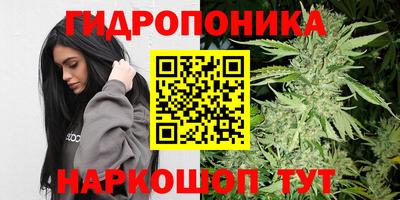 ПСИЛОЦИБИНОВЫЕ ГРИБЫ Конаково