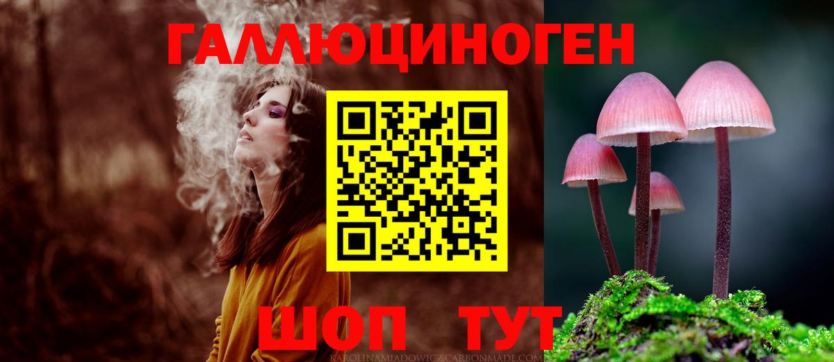 Дубна  Псилоцибиновые грибы мухоморы  Вход с VPN 
